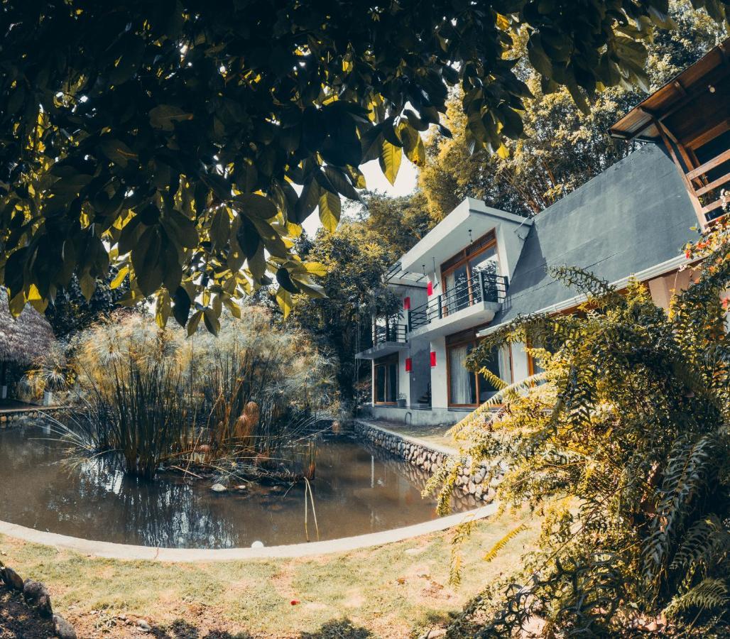 Tagua Lodge Tena Exterior photo