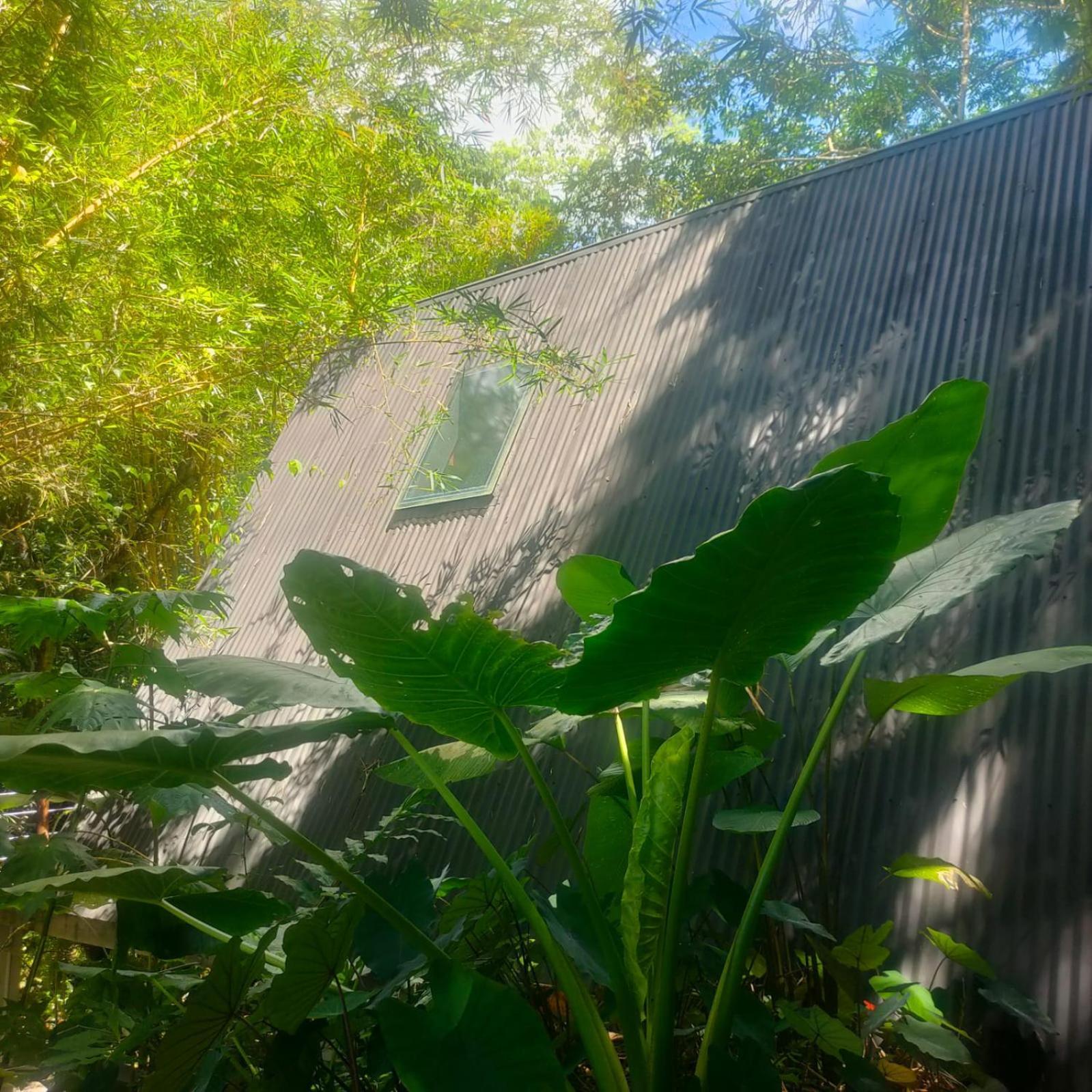 Tagua Lodge Tena Exterior photo