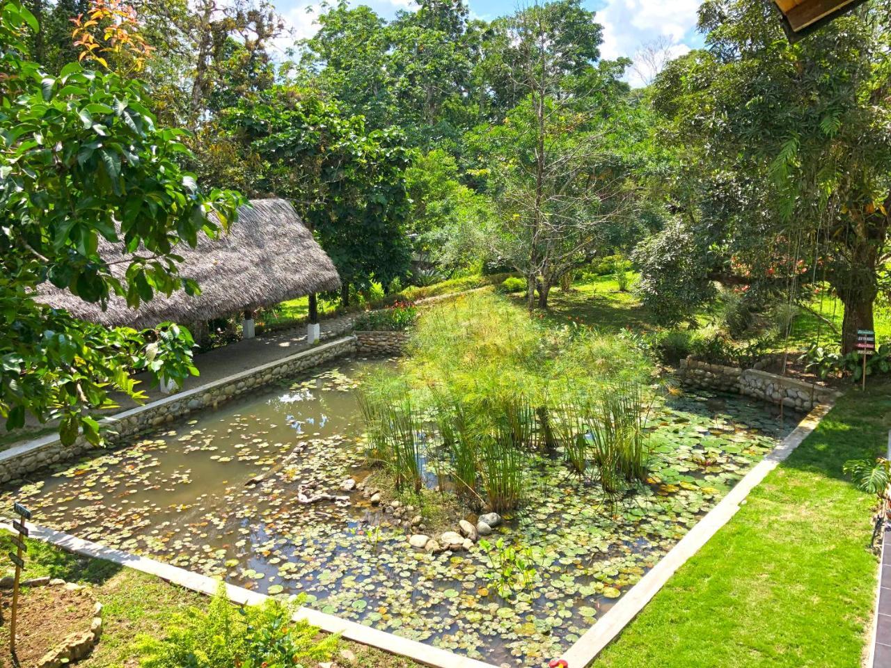 Tagua Lodge Tena Exterior photo